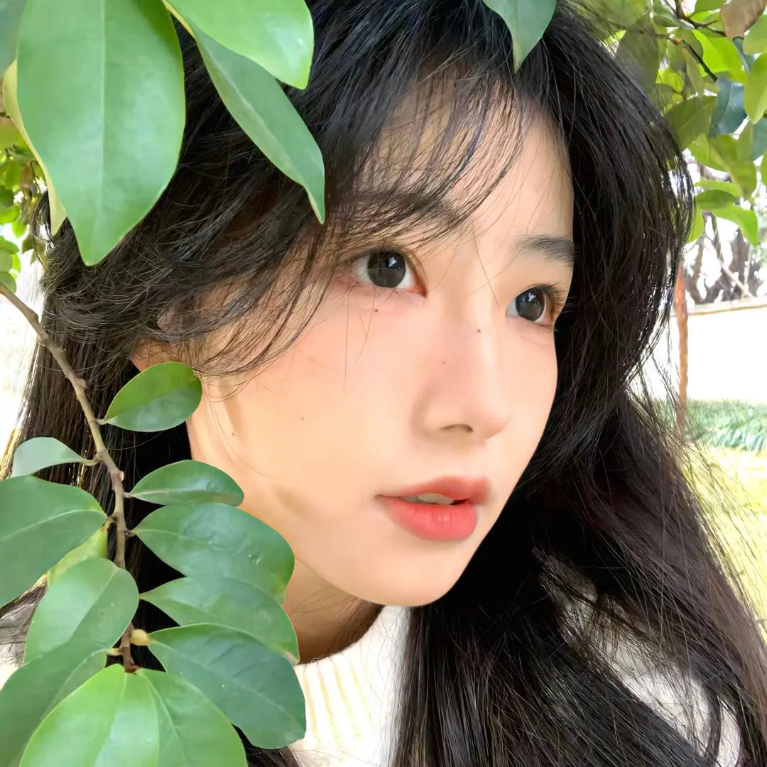 被怀疑:兔子和刺猬